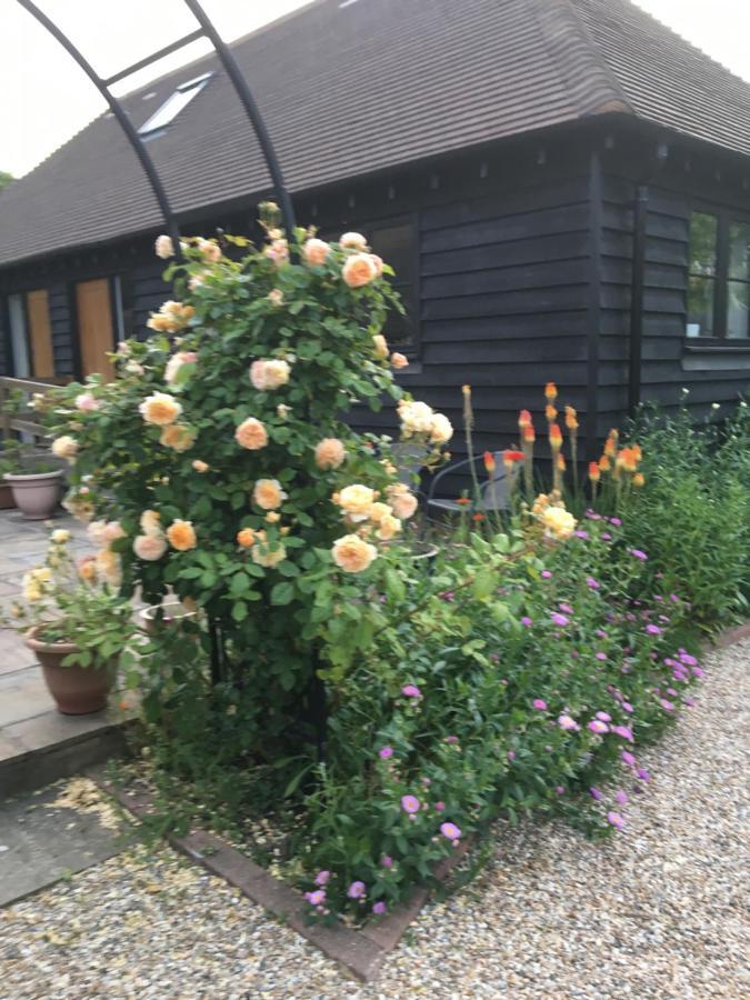 Little Orchard Cottage Canterbury Exterior foto